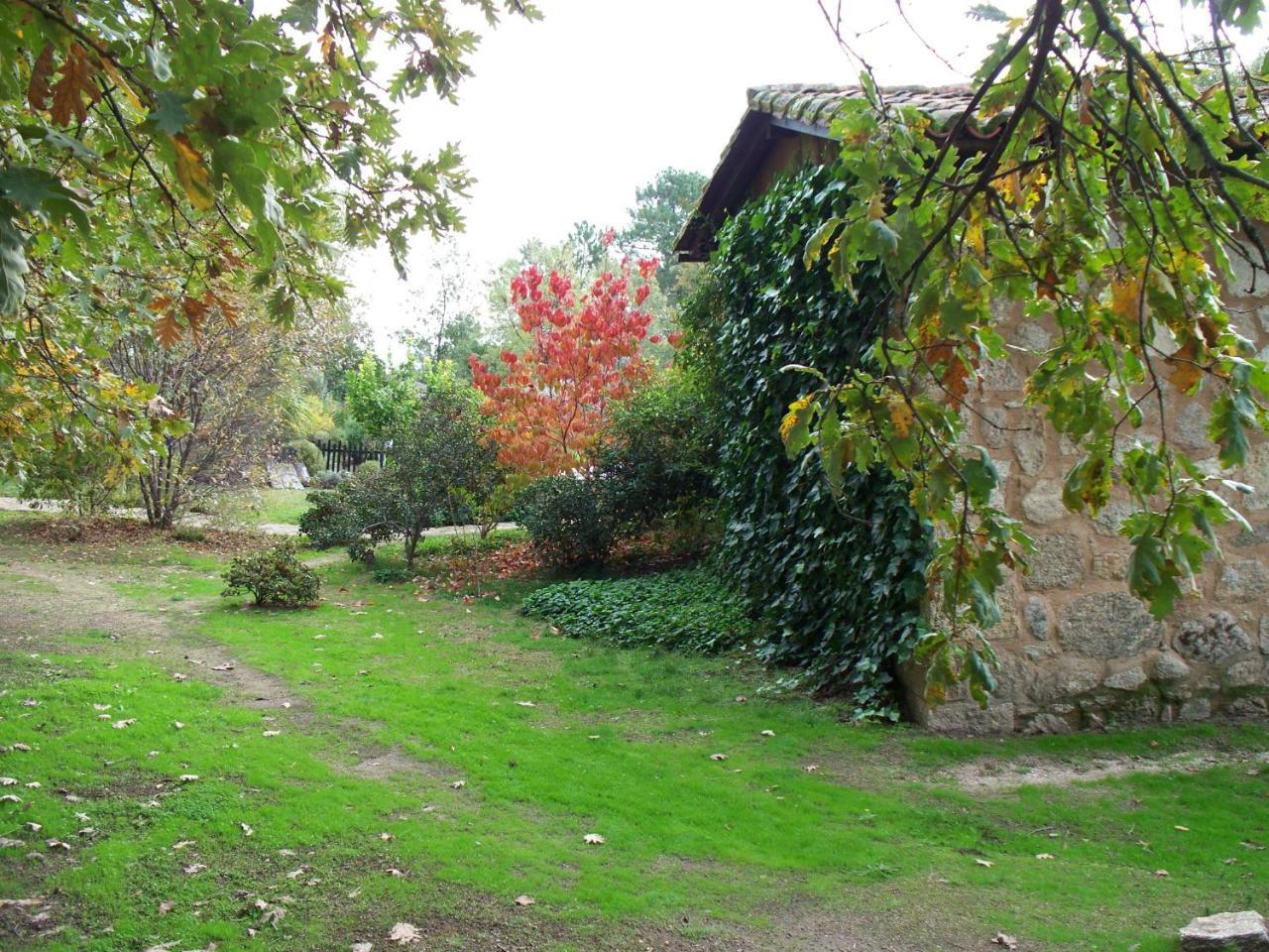 Apartamentos El Roble Valverde de la Vera Eksteriør billede